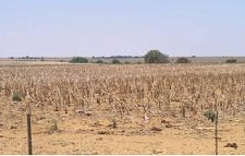 Drought in Northern Cape, South Africa